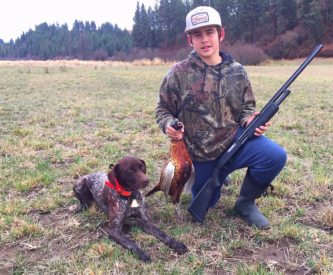 Pheasant hunting coming to two WMAs in North Idaho Coeur d'Alene Press